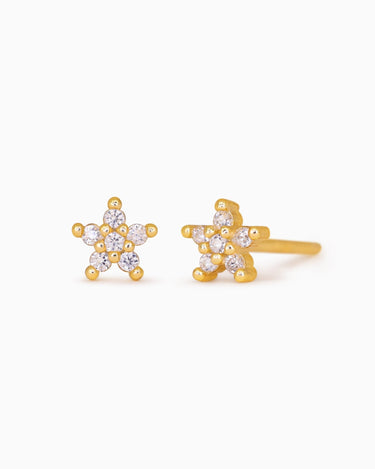 5 Petal Diamond Flower Studs - eyrful