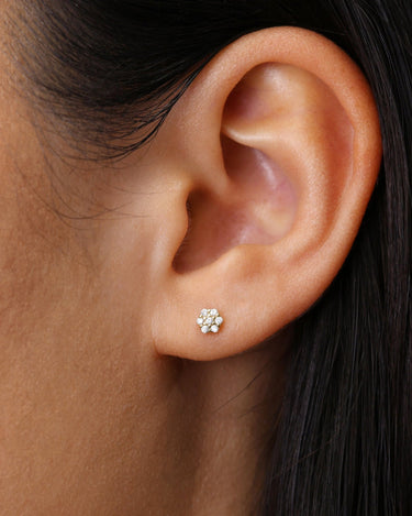 Honeycomb Studs - eyrful